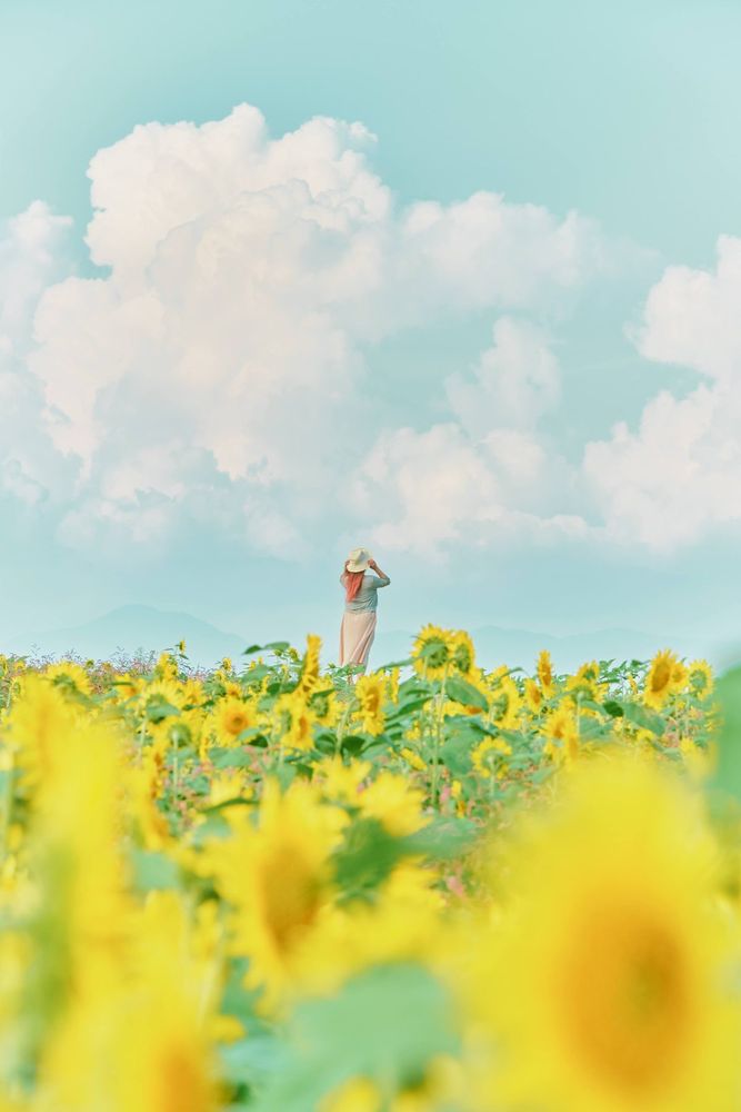 A woman in a sunflower field under summer clouds